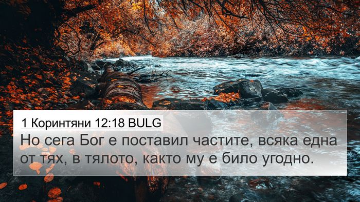 1 Коринтяни 12:18 BULG Bible Verse Image