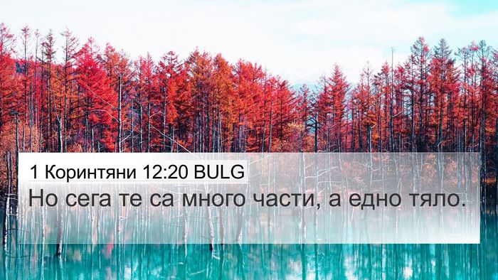 1 Коринтяни 12:20 BULG Bible Verse Image