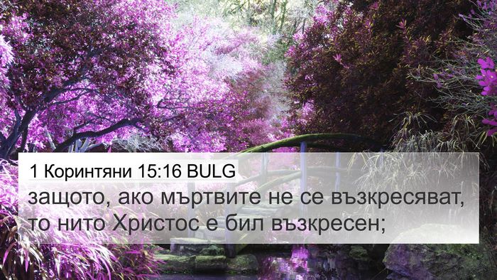 1 Коринтяни 15:16 BULG Bible Verse Image