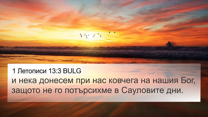 1 Летописи 13:3 BULG Bible Verse Image