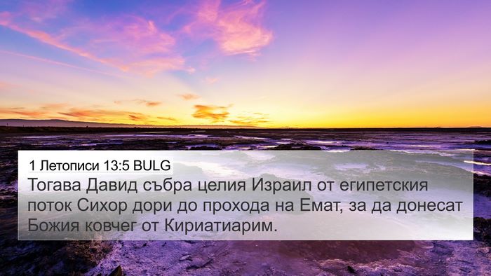 1 Летописи 13:5 BULG Bible Verse Image