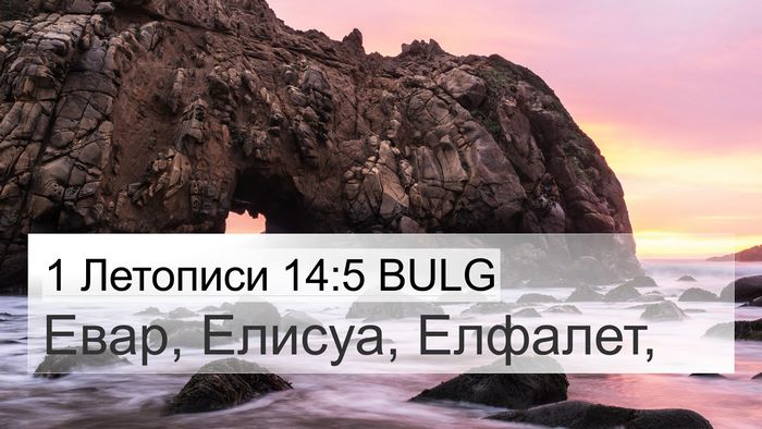 1 Летописи 14:5 BULG Bible Verse Image