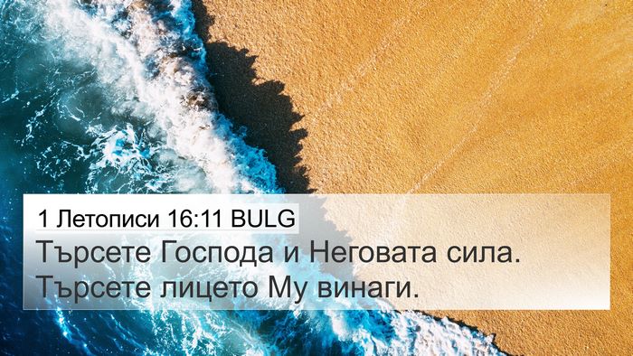 1 Летописи 16:11 BULG Bible Verse Image