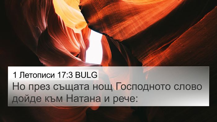 1 Летописи 17:3 BULG Bible Verse Image