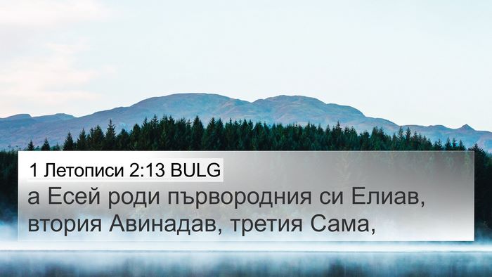 1 Летописи 2:13 BULG Bible Verse Image