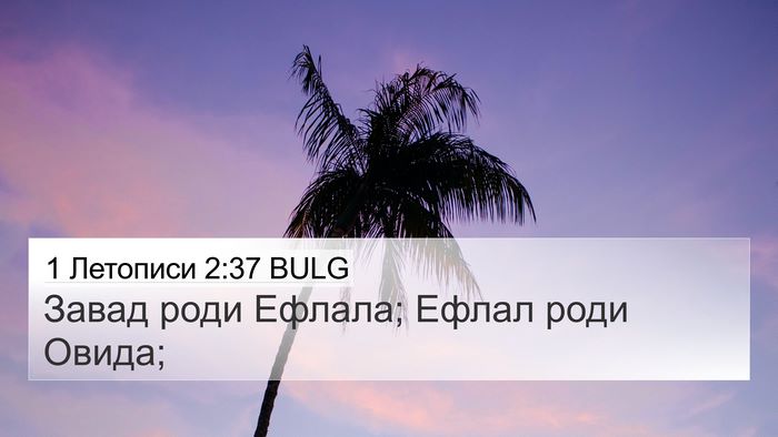1 Летописи 2:37 BULG 4K Wallpaper - Завад роди Ефлала; Ефлал - 4K Wallpaper Bible Verse