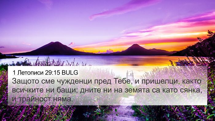 1 Летописи 29:15 BULG Bible Verse Image