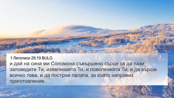 1 Летописи 29:19 BULG Bible Verse Image