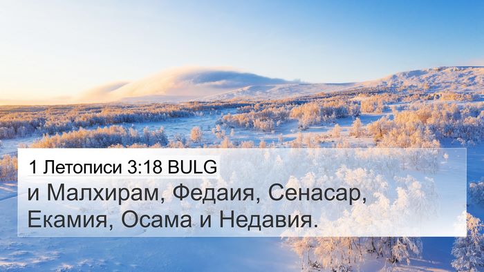 1 Летописи 3:18 BULG 4K Wallpaper - и Малхирам, Федаия, - 4K Wallpaper Bible Verse