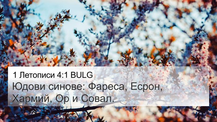 1 Летописи 4:1 BULG Bible Verse Image