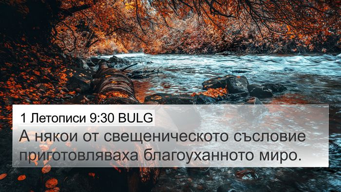 1 Летописи 9:30 BULG 4K Wallpaper - А някои от свещеническото - 4K Wallpaper Bible Verse
