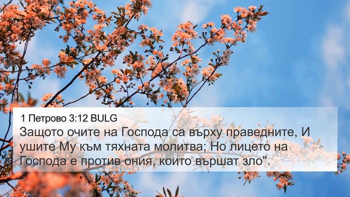 1 Петрово 3:12 BULG 4K Wallpaper - Защото очите на Господа са - 4K Wallpaper Bible Verse