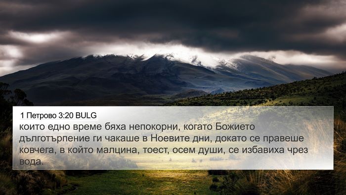 1 Петрово 3:20 BULG Bible Verse Image