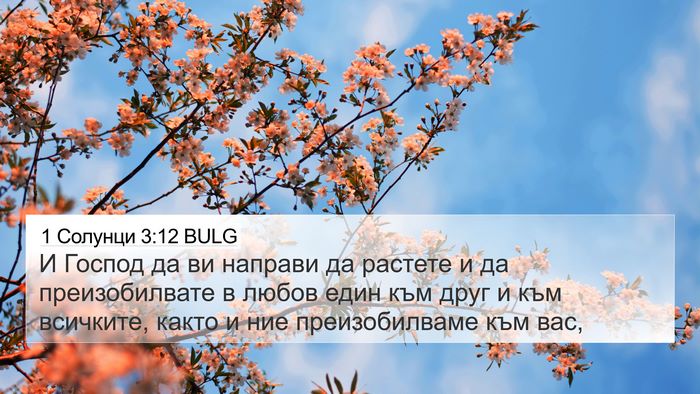 1 Солунци 3:12 BULG Bible Verse Image