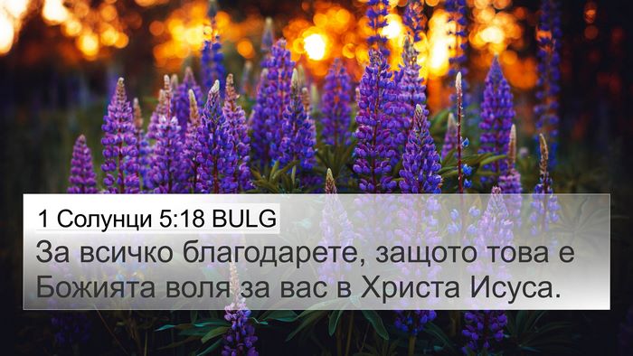 1 Солунци 5:18 BULG Bible Verse Image