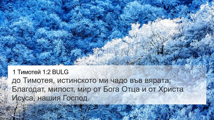 1 Тимотей 1:2 BULG 4K Wallpaper - до Тимотея, истинското ми - 4K Wallpaper Bible Verse