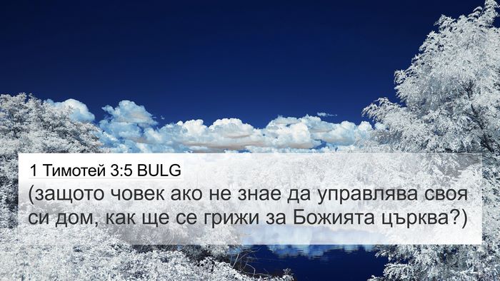 1 Тимотей 3:5 BULG 4K Wallpaper - (защото човек ако не знае - 4K Wallpaper Bible Verse