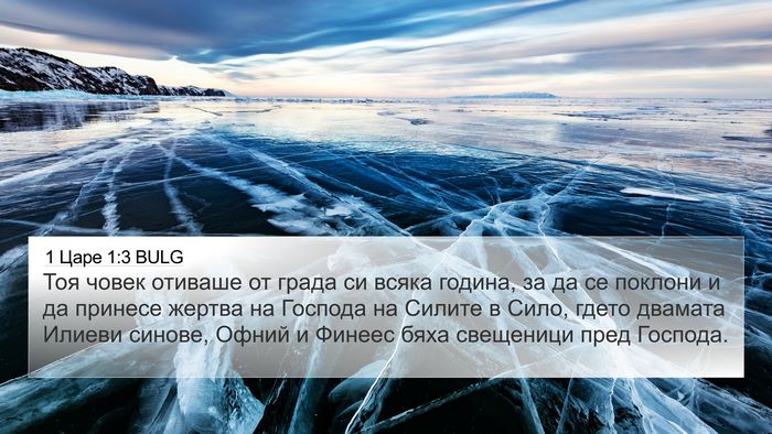1 Царе 1:3 BULG Bible Verse Image