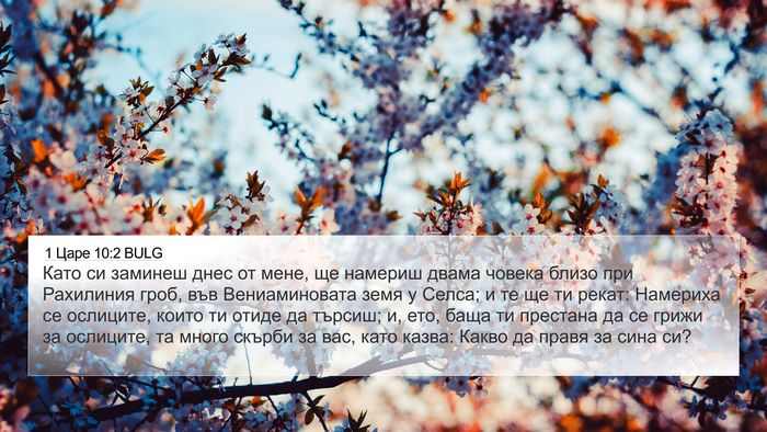 1 Царе 10:2 BULG Bible Verse Image