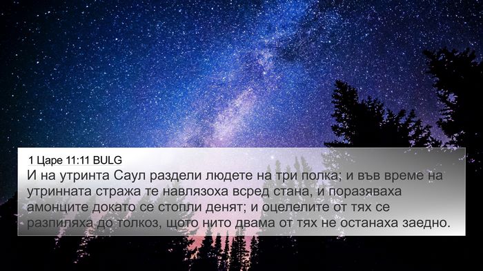 1 Царе 11:11 BULG Bible Verse Image