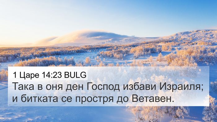 1 Царе 14:23 BULG Bible Verse Image