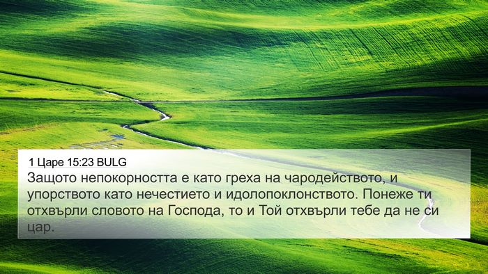 1 Царе 15:23 BULG Bible Verse Image