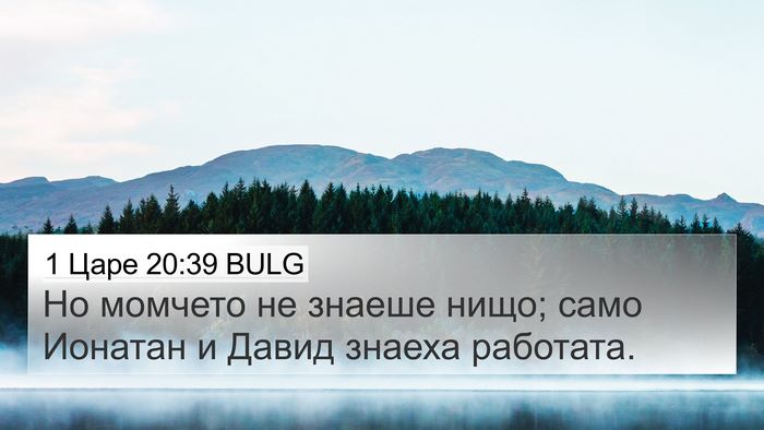 1 Царе 20:39 BULG 4K Wallpaper - Но момчето не знаеше нищо; - 4K Wallpaper Bible Verse