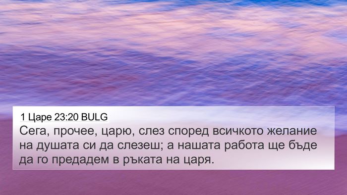 1 Царе 23:20 BULG Bible Verse Image