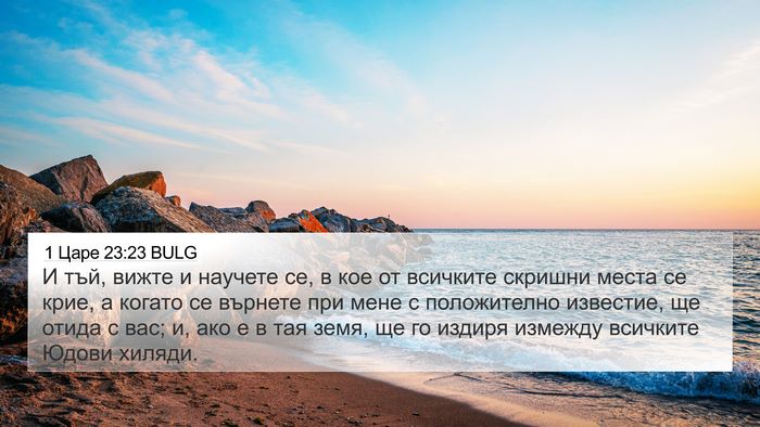 1 Царе 23:23 BULG Bible Verse Image
