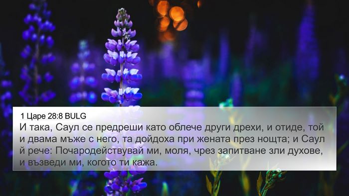 1 Царе 28:8 BULG Bible Verse Image