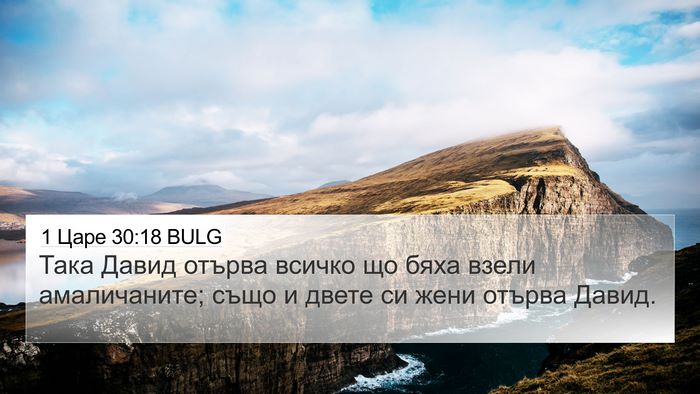 1 Царе 30:18 BULG Bible Verse Image