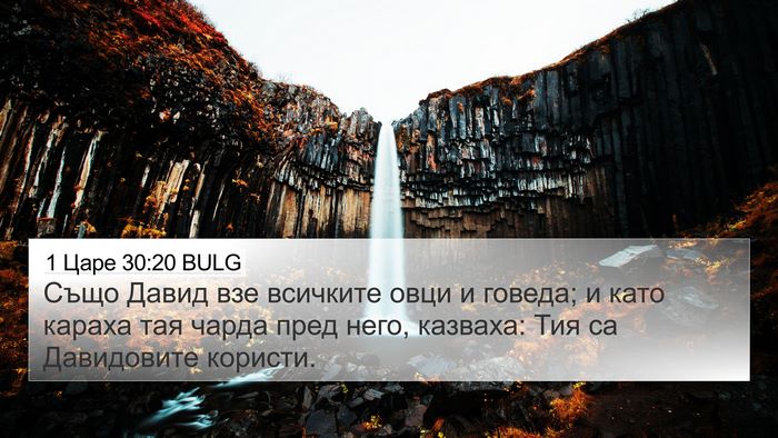 1 Царе 30:20 BULG Bible Verse Image