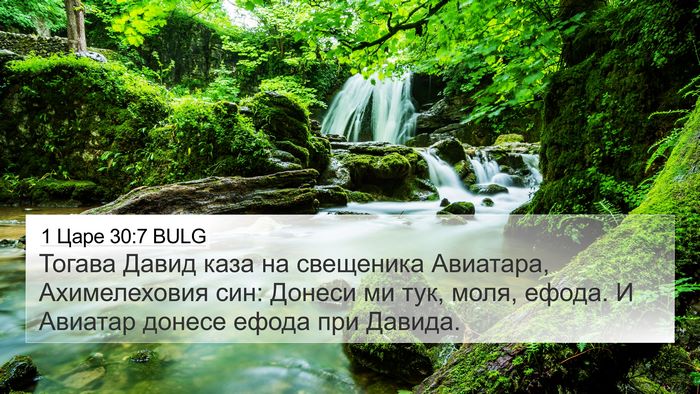 1 Царе 30:7 BULG Bible Verse Image