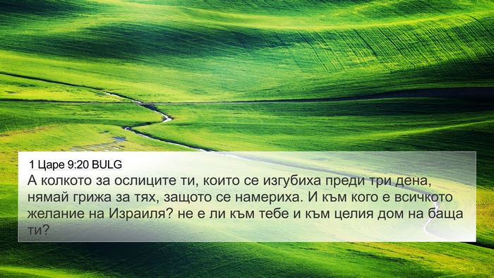 1 Царе 9:20 BULG 4K Wallpaper - А колкото за ослиците ти, - 4K Wallpaper Bible Verse
