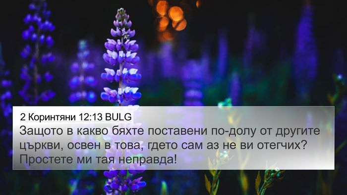 2 Коринтяни 12:13 BULG Bible Verse Image