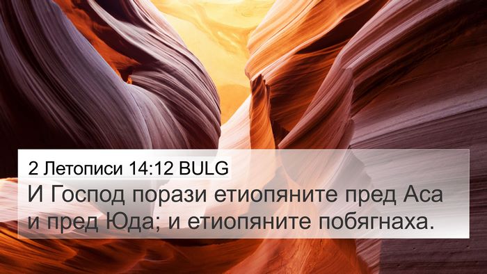 2 Летописи 14:12 BULG Bible Verse Image