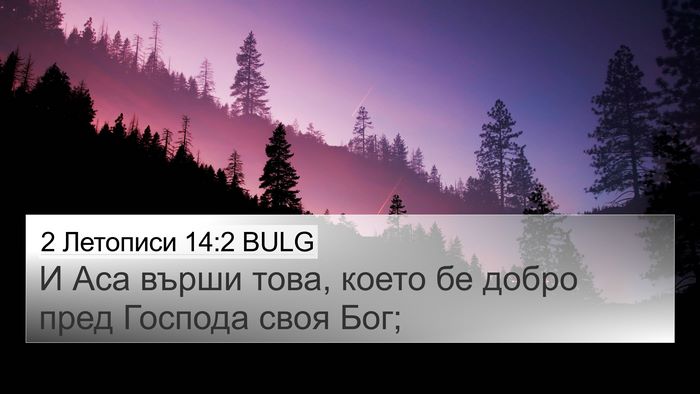 2 Летописи 14:2 BULG Bible Verse Image