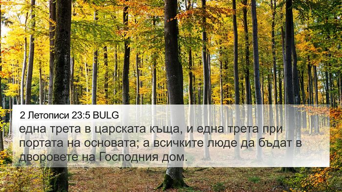 2 Летописи 23:5 BULG Bible Verse Image