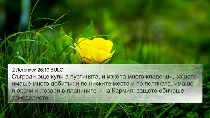 2 Летописи 26:10 BULG Bible Verse Image