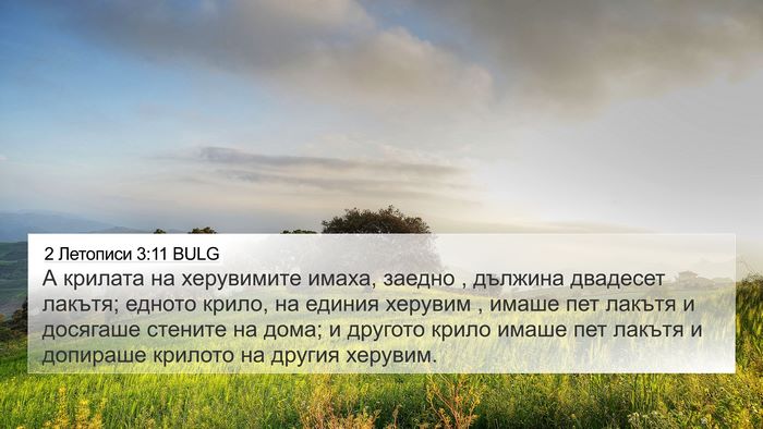 2 Летописи 3:11 BULG 4K Wallpaper - А крилата на херувимите - 4K Wallpaper Bible Verse