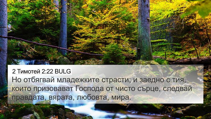 2 Тимотей 2:22 BULG Bible Verse Image