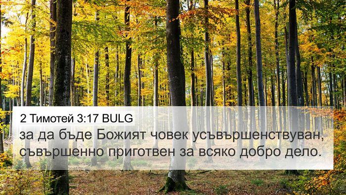 2 Тимотей 3:17 BULG Bible Verse Image