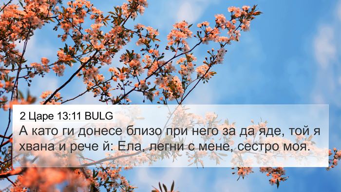 2 Царе 13:11 BULG Bible Verse Image