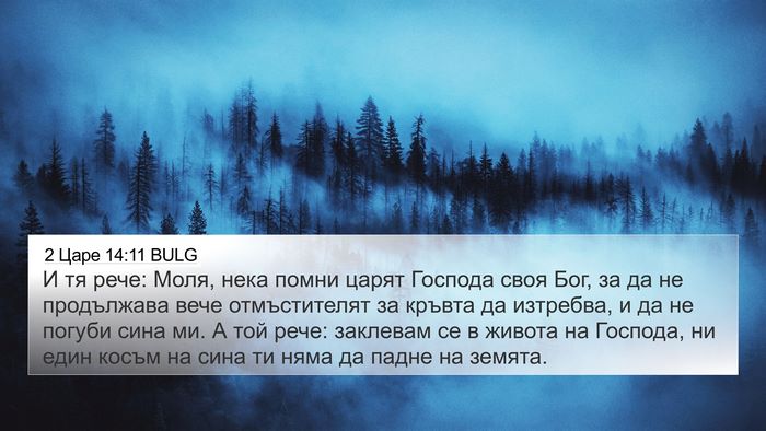 2 Царе 14:11 BULG Bible Verse Image
