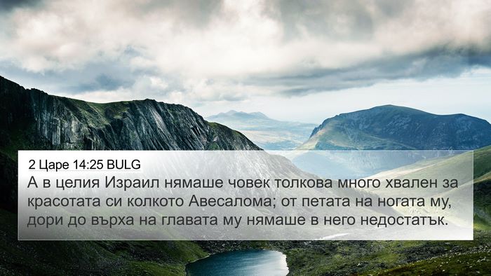 2 Царе 14:25 BULG Bible Verse Image