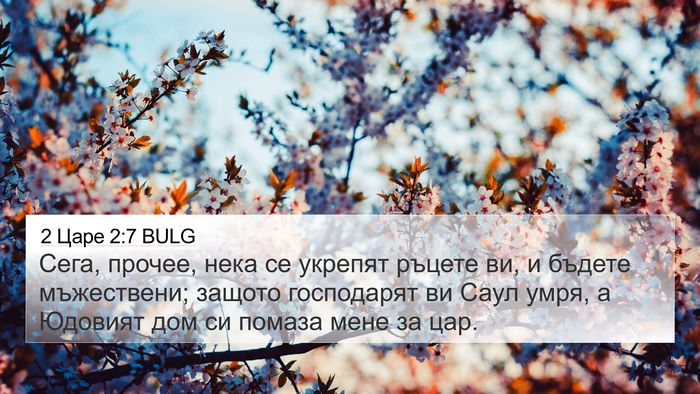 2 Царе 2:7 BULG 4K Wallpaper - Сега, прочее, нека се - 4K Wallpaper Bible Verse