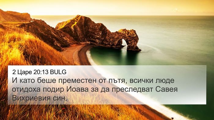 2 Царе 20:13 BULG Bible Verse Image