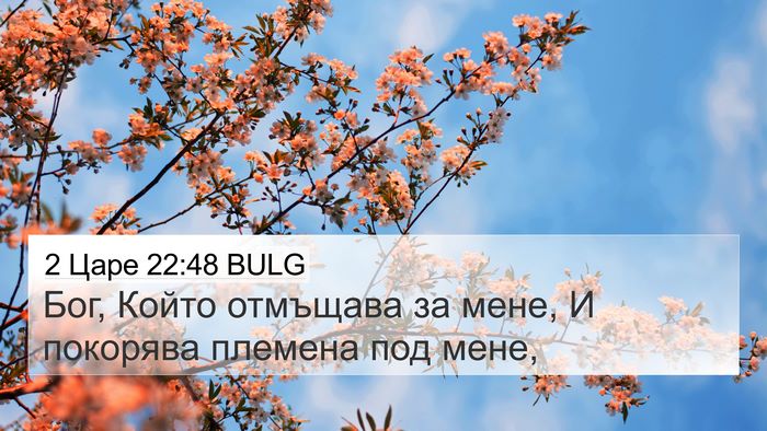 2 Царе 22:48 BULG 4K Wallpaper - Бог, Който отмъщава за - 4K Wallpaper Bible Verse