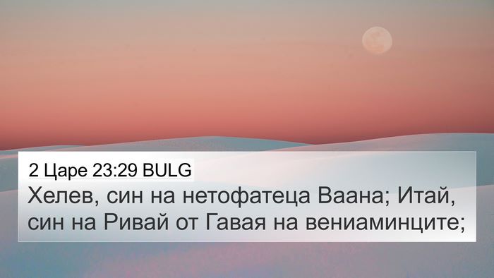 2 Царе 23:29 BULG Bible Verse Image