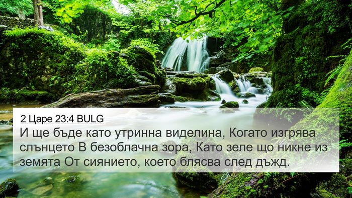 2 Царе 23:4 BULG Bible Verse Image